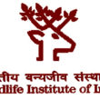 wildlife-institute-of-india