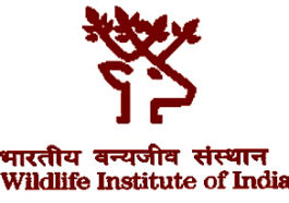 wildlife-institute-of-india