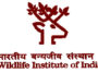 wildlife-institute-of-india