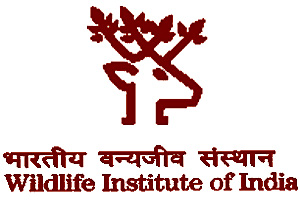 wildlife-institute-of-india