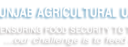 Punjab Agriculture University